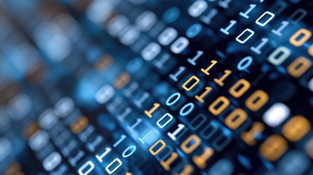 What is the process of digitizing |  Digitizers Patch