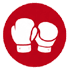 Boxing Patches icon