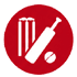 Cricket Patches icon