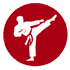 Karate Patches icon