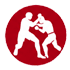 MMA Patches icon