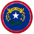 Nevada icon