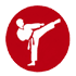 Taekwondo Patches icon