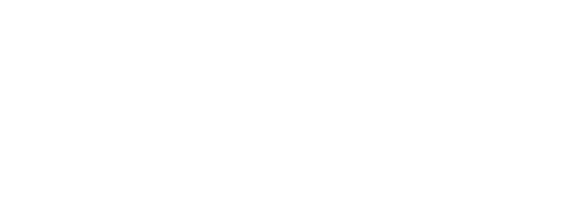 Digitizers Patch